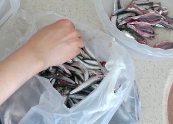 Balık kokusunu mutfak ve elde anında gideren yöntem
