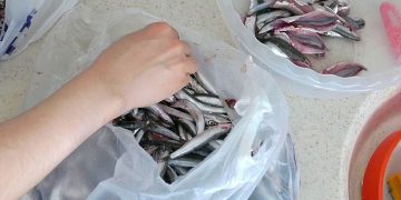 Balık kokusunu mutfak ve elde anında gideren yöntem