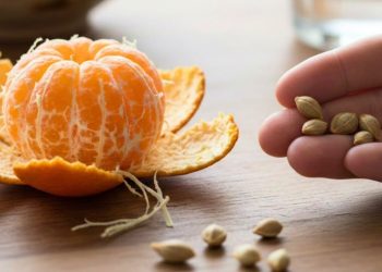 Mandalina çekirdeklerini atan pişman: Sanıldığından çok daha değerli